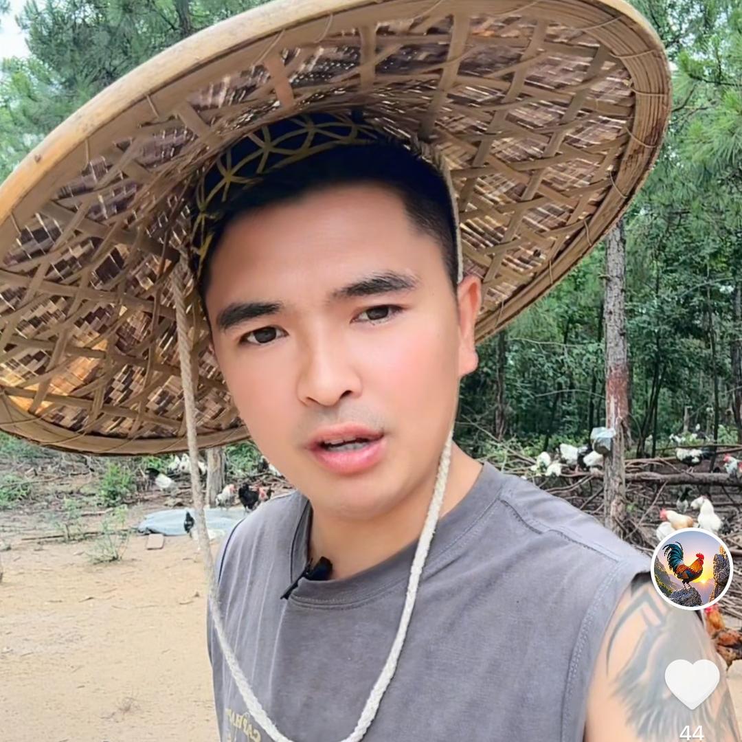 桂东一代鹊山鸡