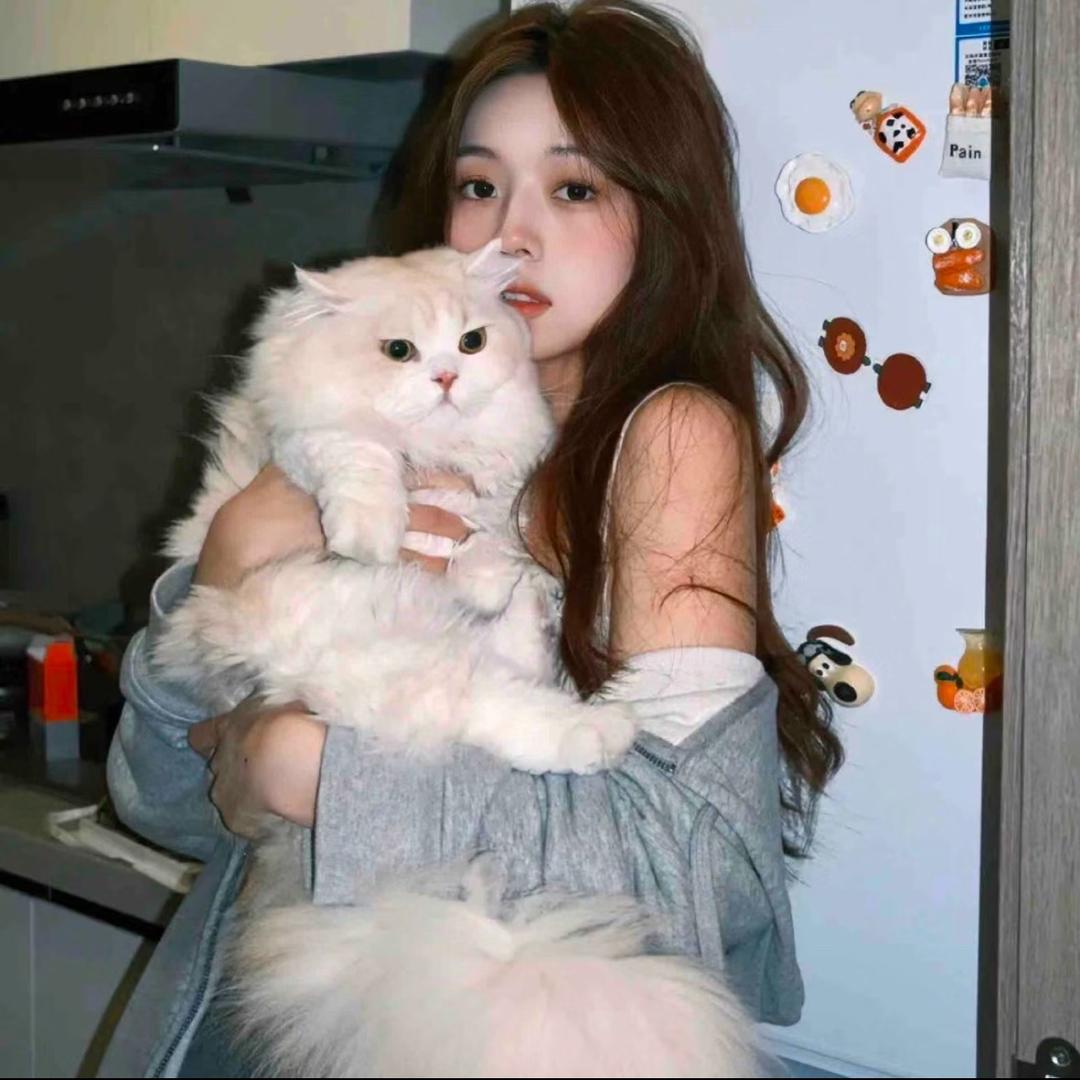 呼啦呼啦圈