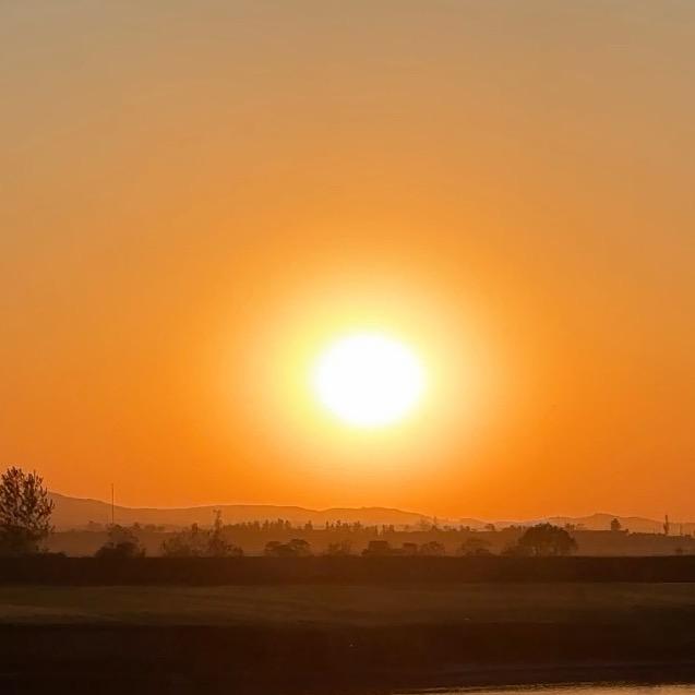 小马不吃草嚼吧嚼吧