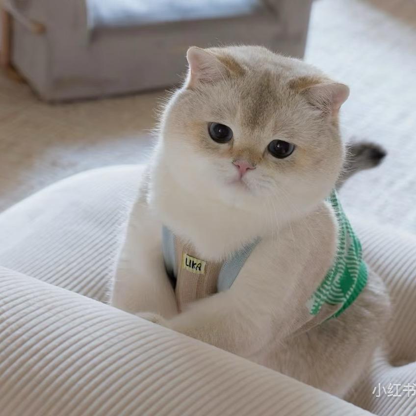 Zhouz