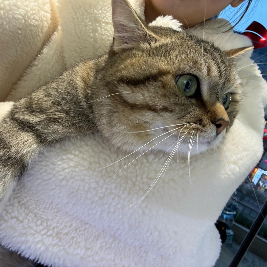 人间富贵花🤍潼潼🇨🇳