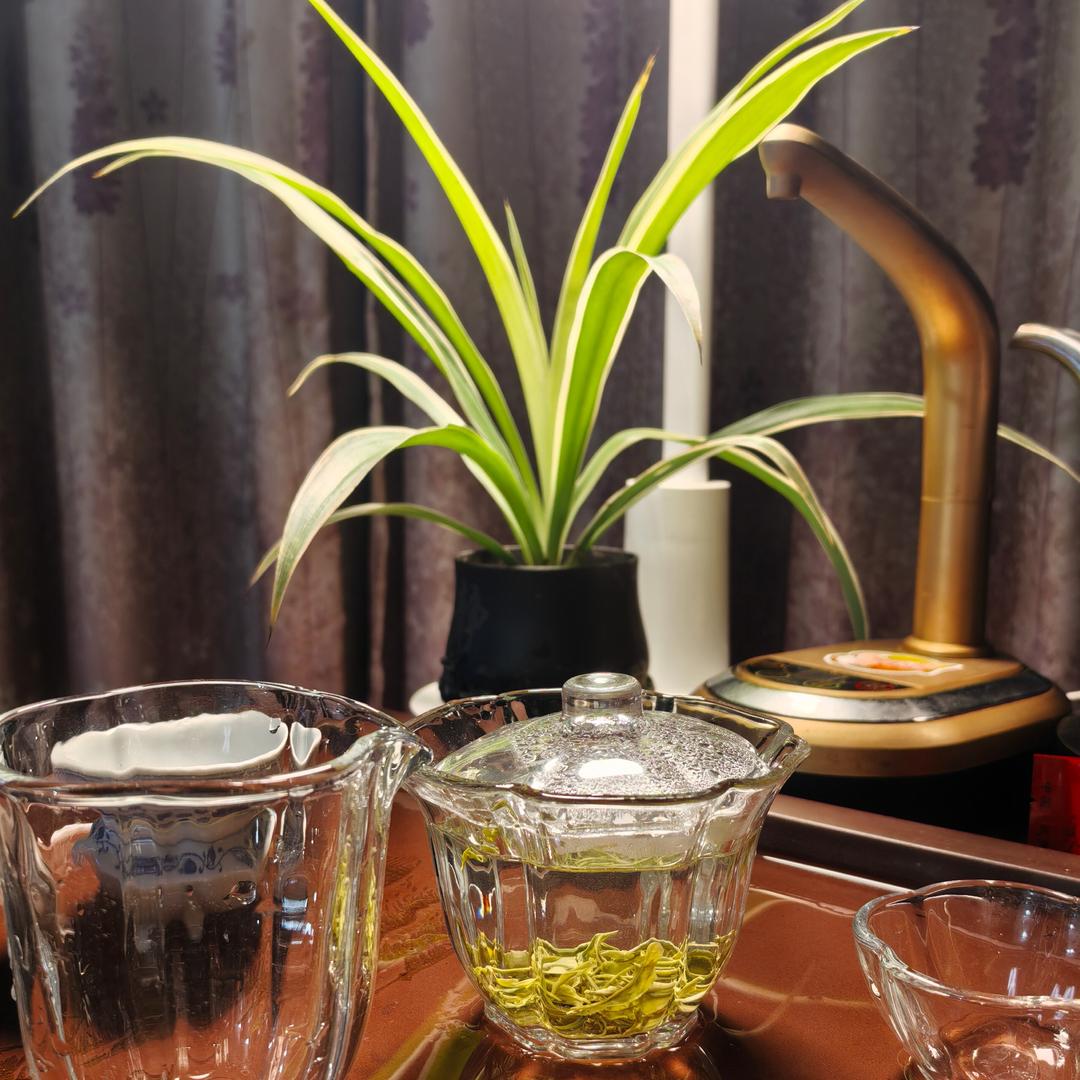 茶🍵