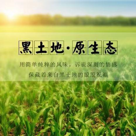 龙江星选