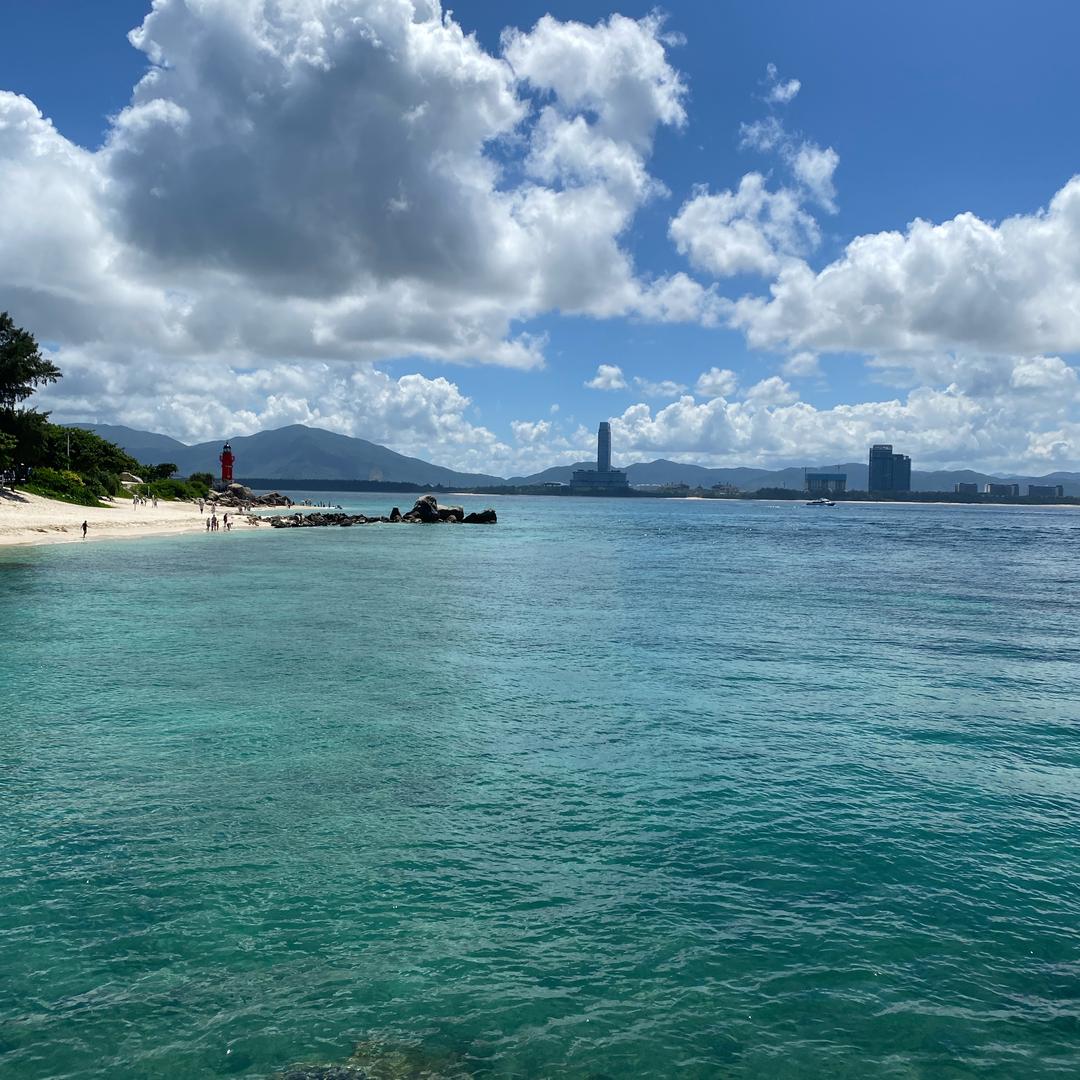 刘丽