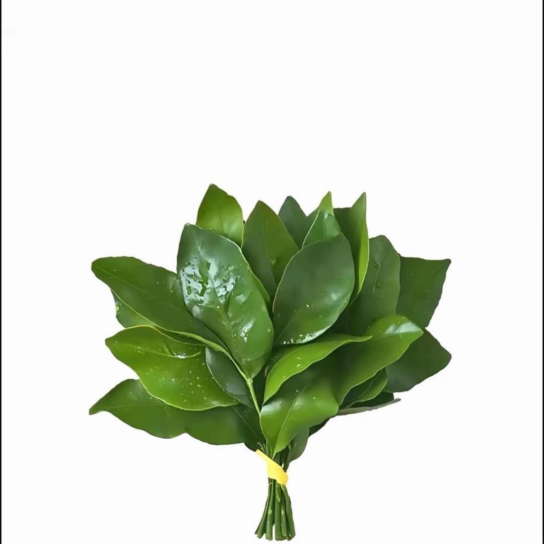 白菜🥬仓库（只有一个店，没有任何分店）