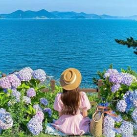 云南旅游（团购专场）