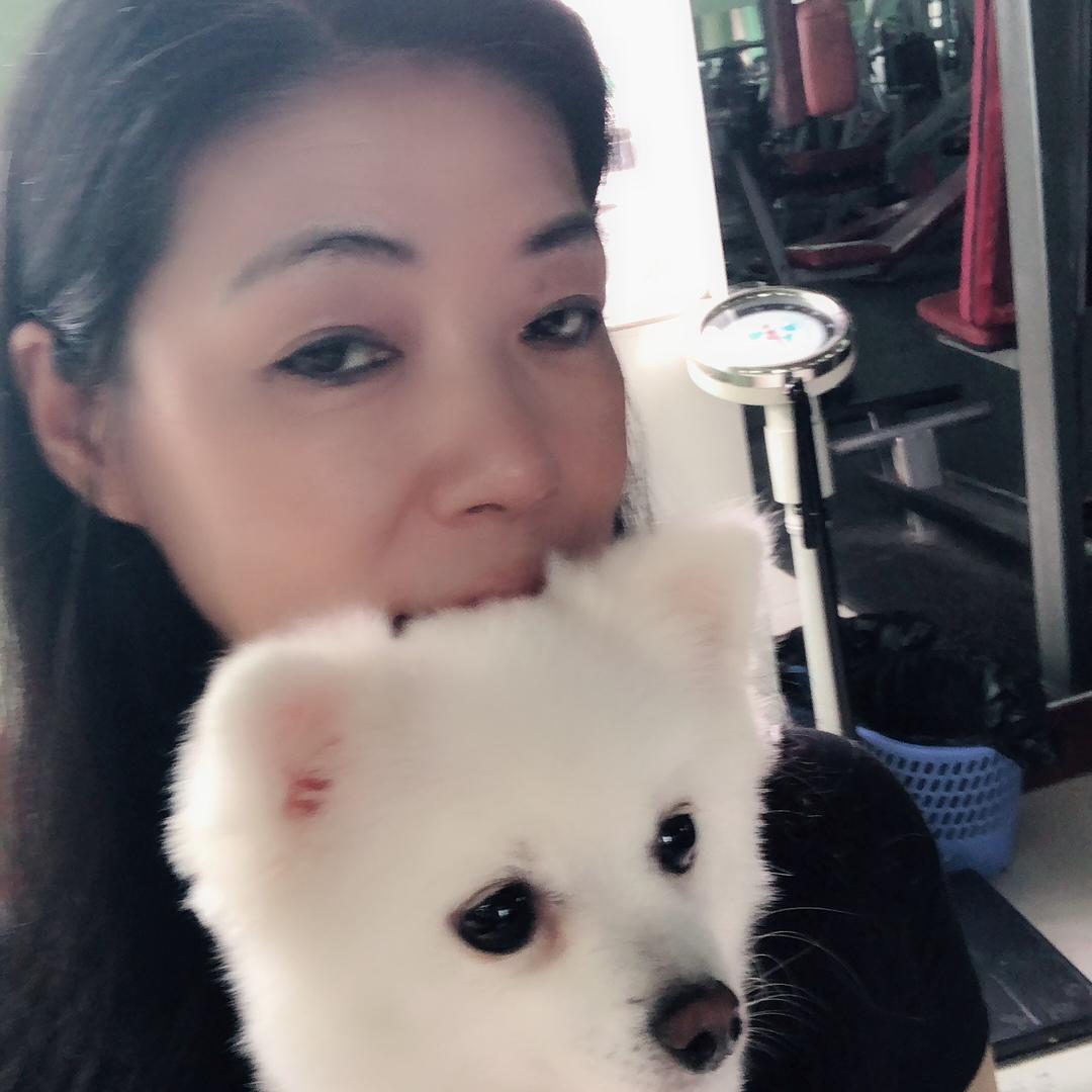 缙云草