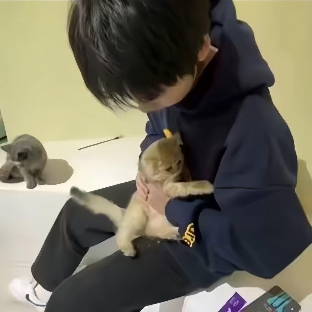 世上哪有纯情