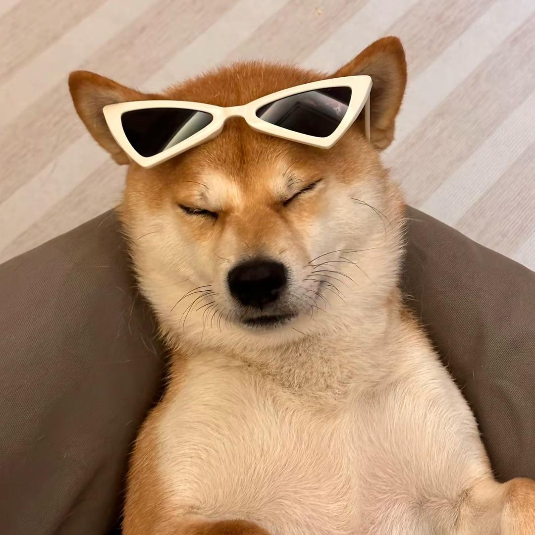 下雨la🌧️甜兮