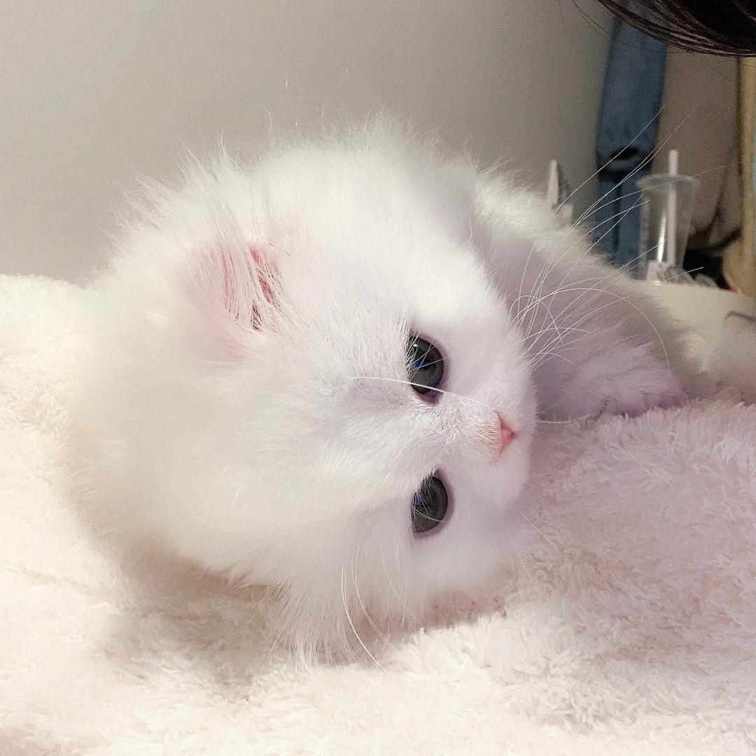 Huiiiiii