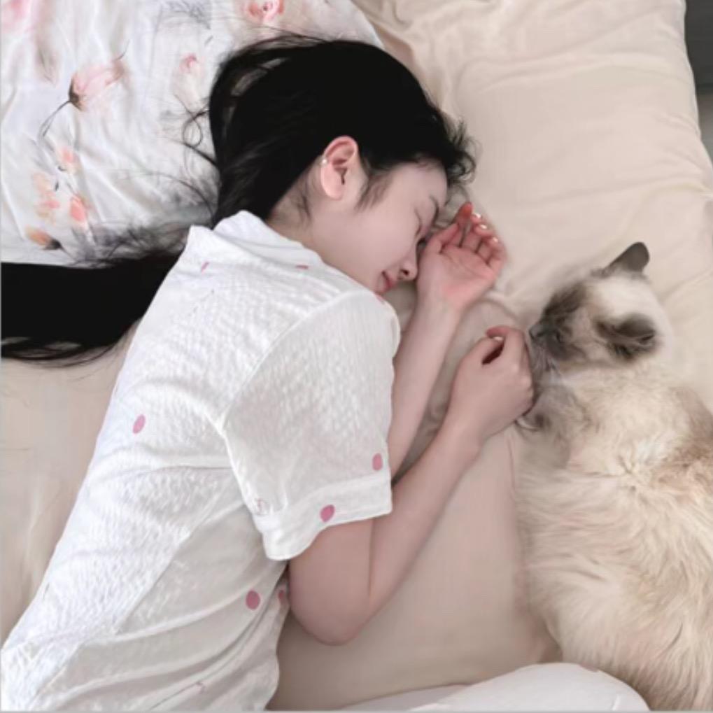小海苔脆脆鲨