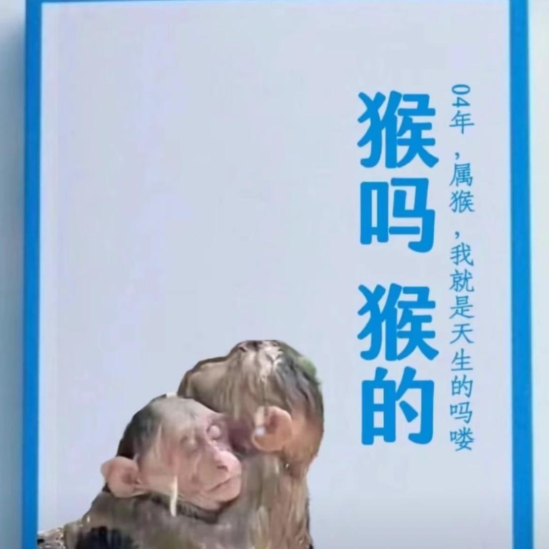 不爱吃蔬菜