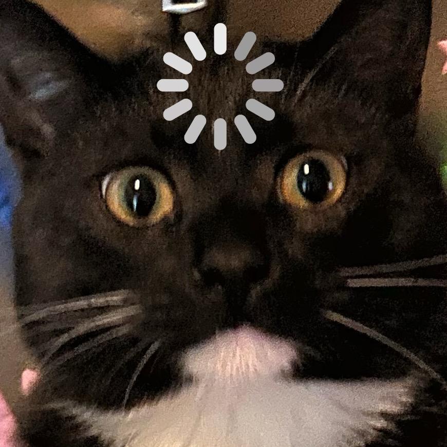ToastToast