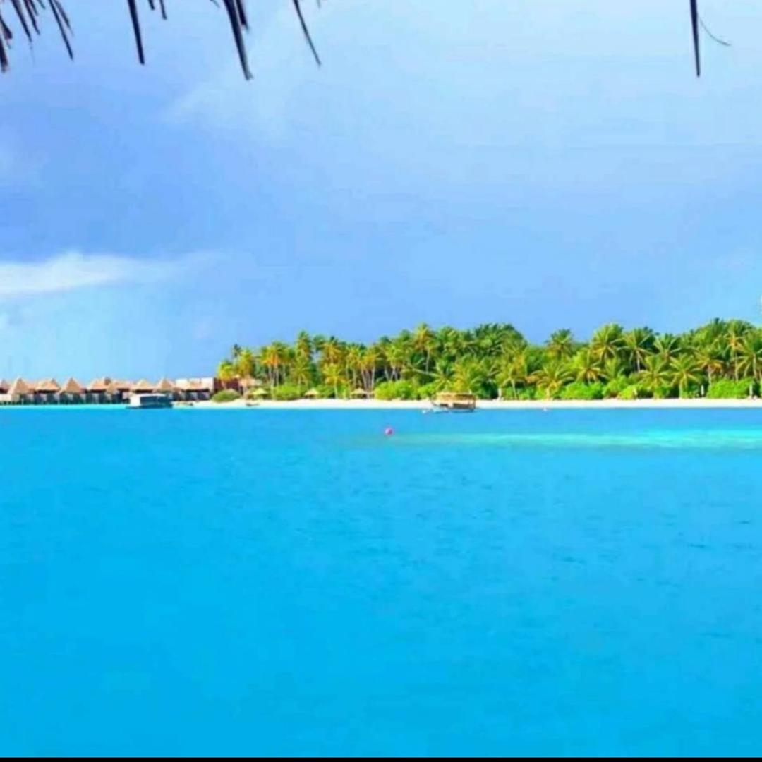 ༄ᐝ时光🍀静好໊ഒᩚ࿐