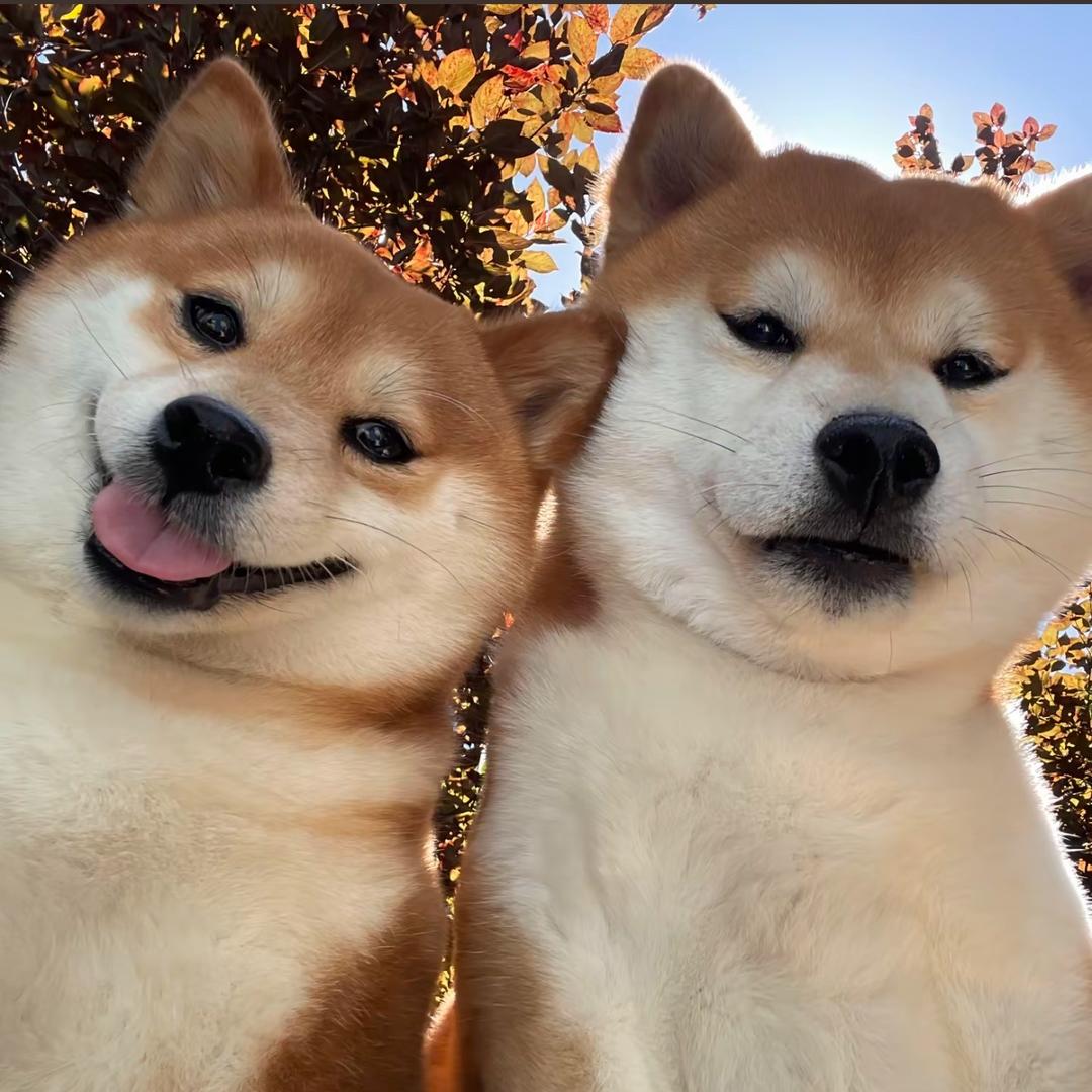 一二三