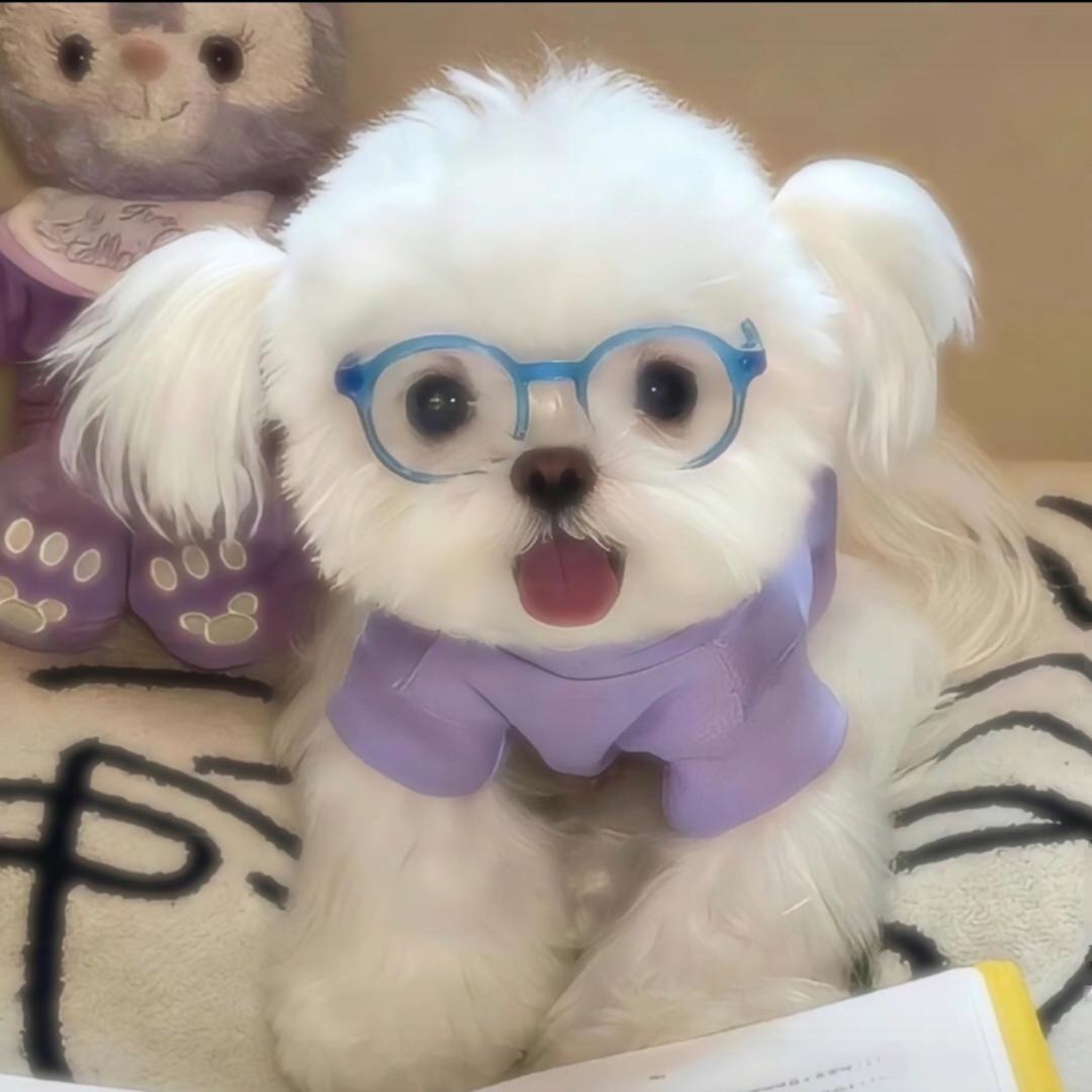 蒽桃儿