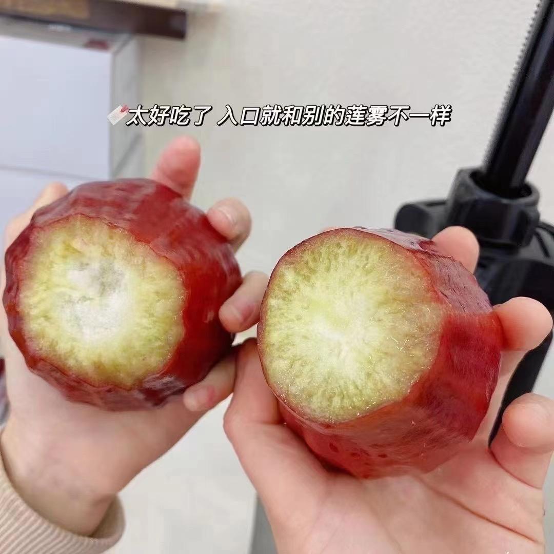 潮州市黑弟水果