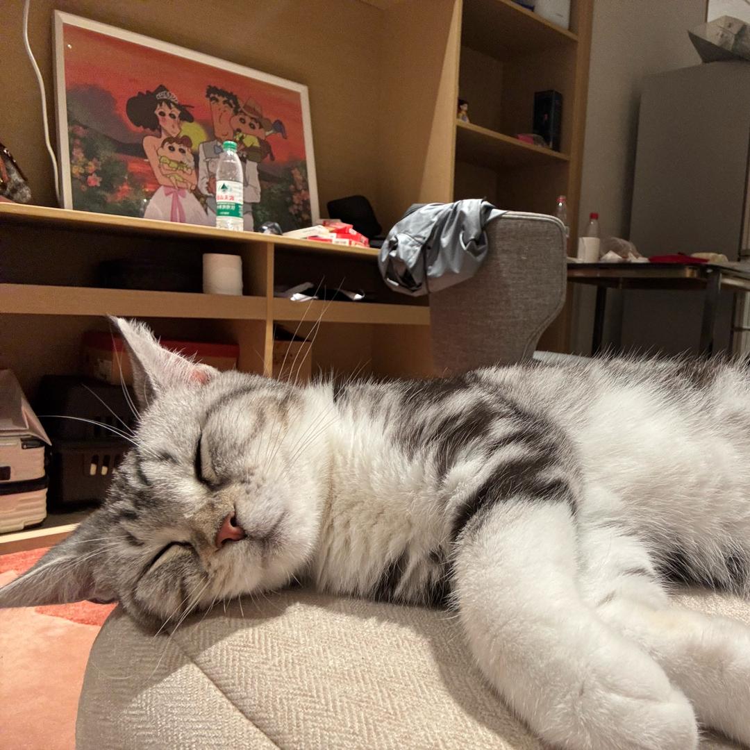 阿尤口袋