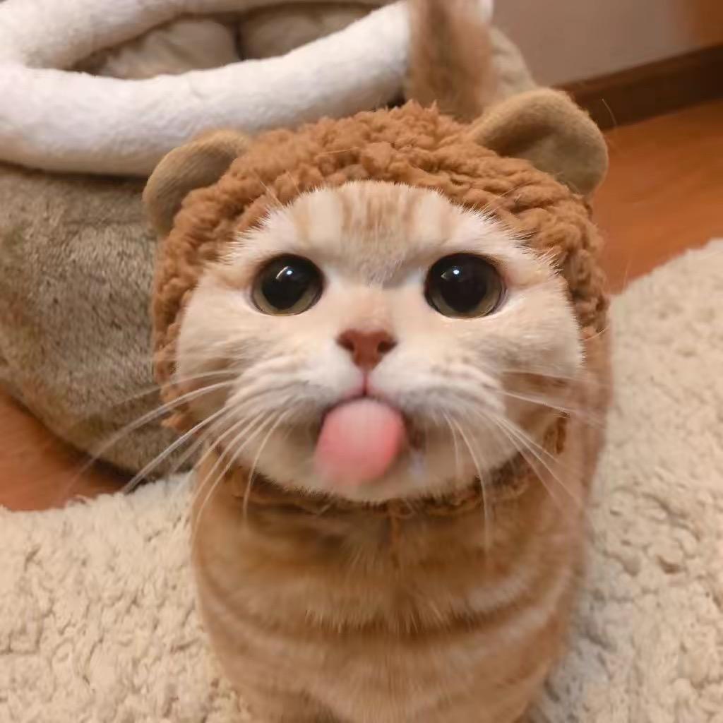 小锦