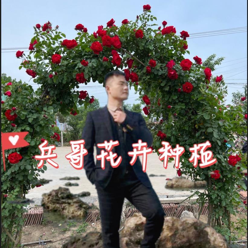 兵哥花卉种植