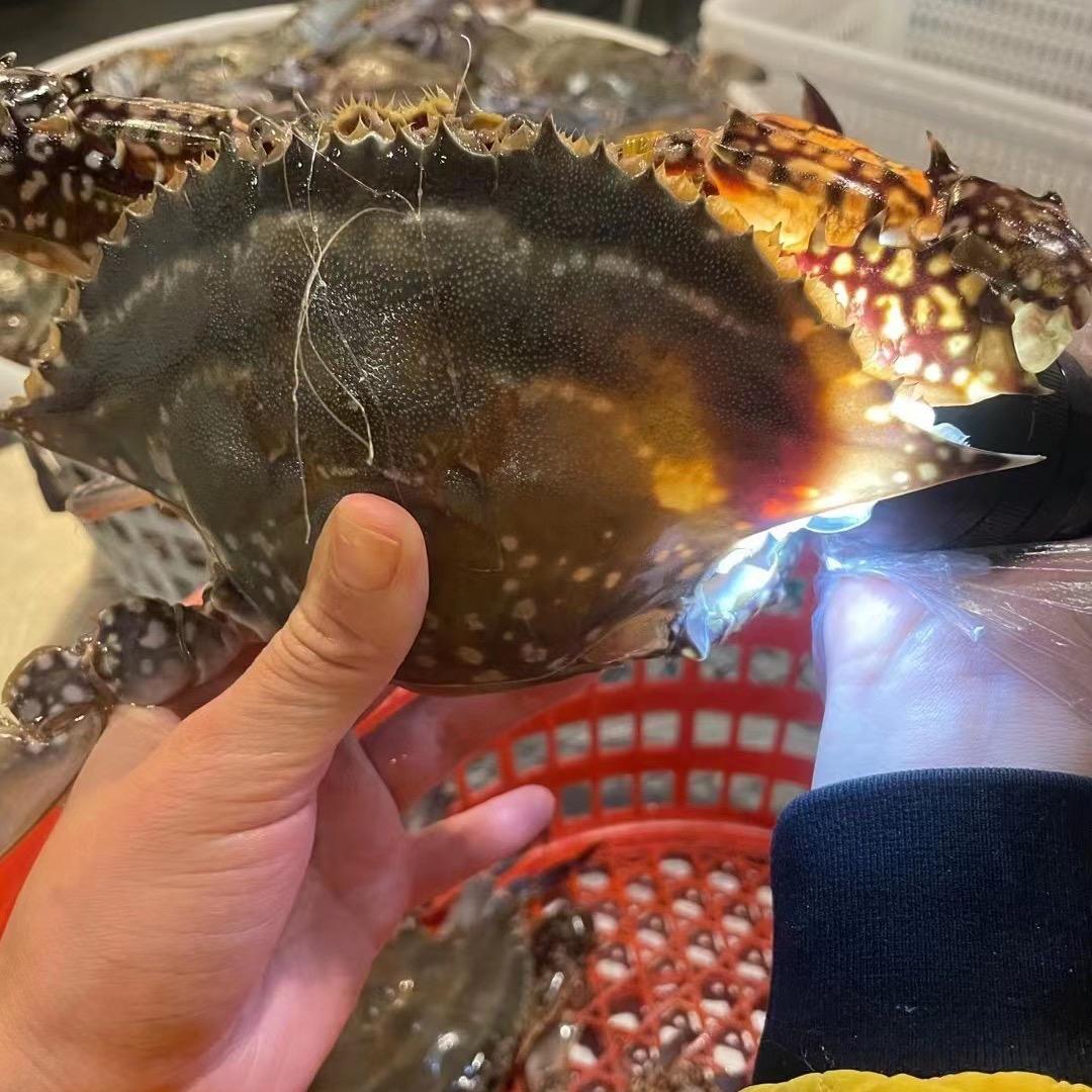 航海优鲜