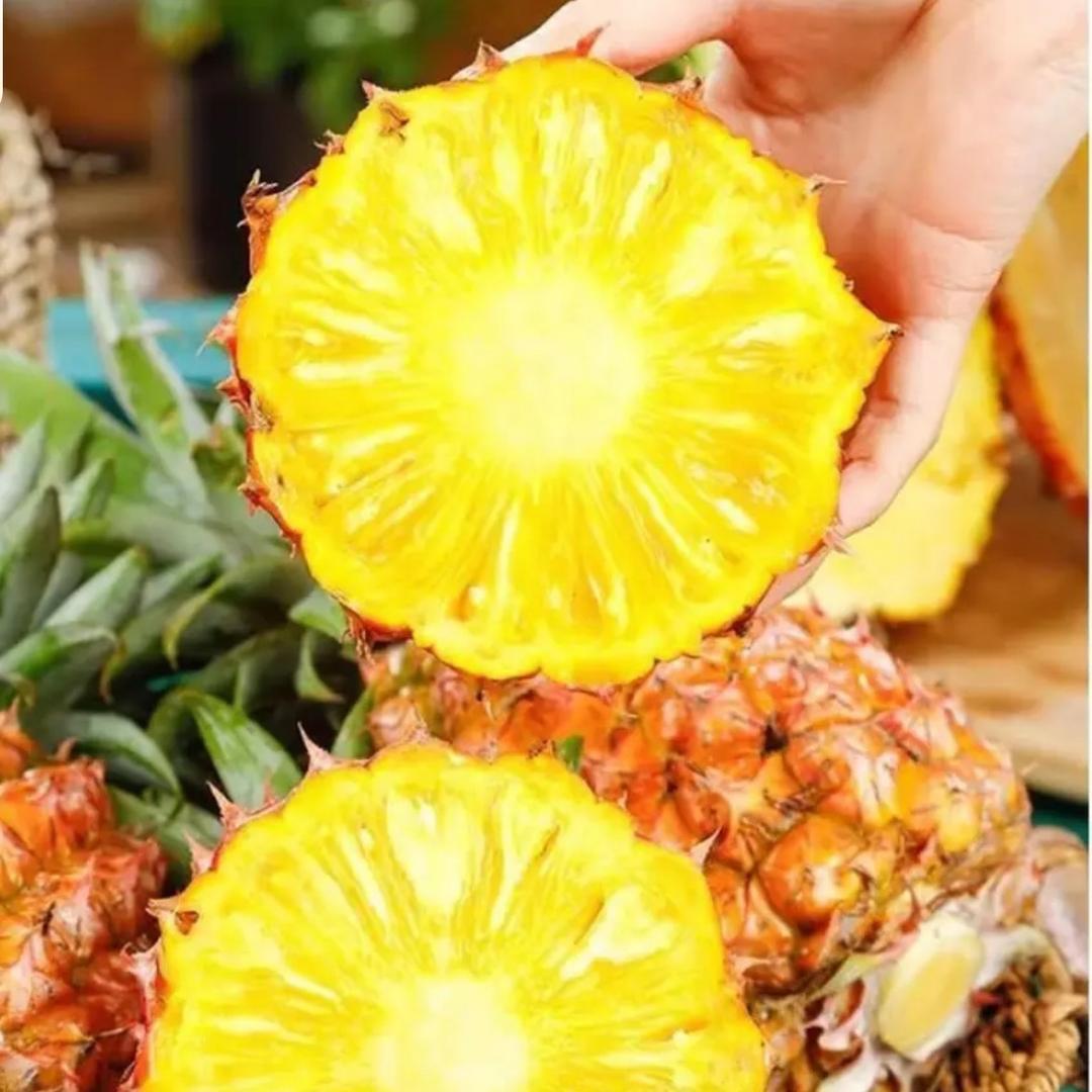 芒果凤梨熟了🍍