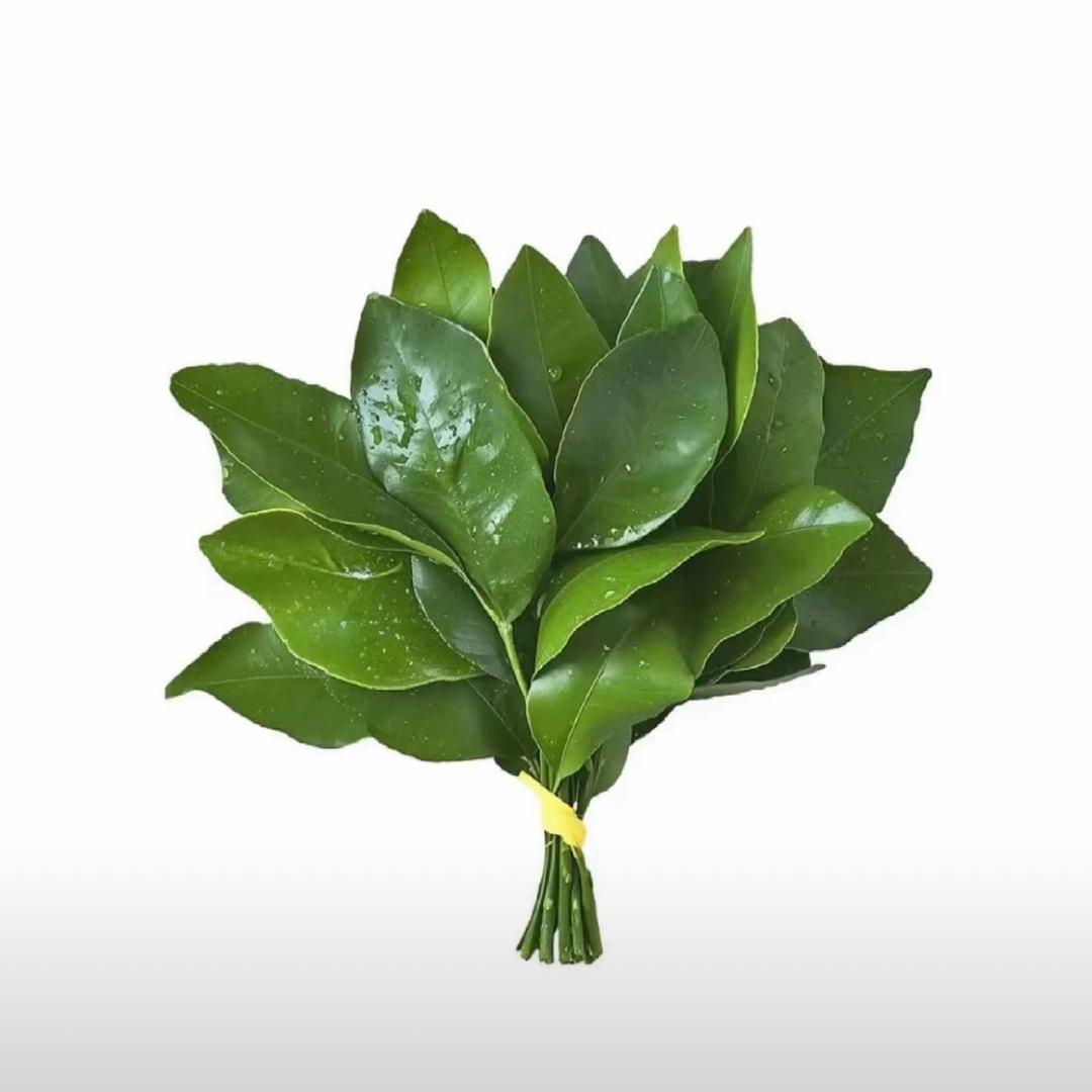 粥粥.