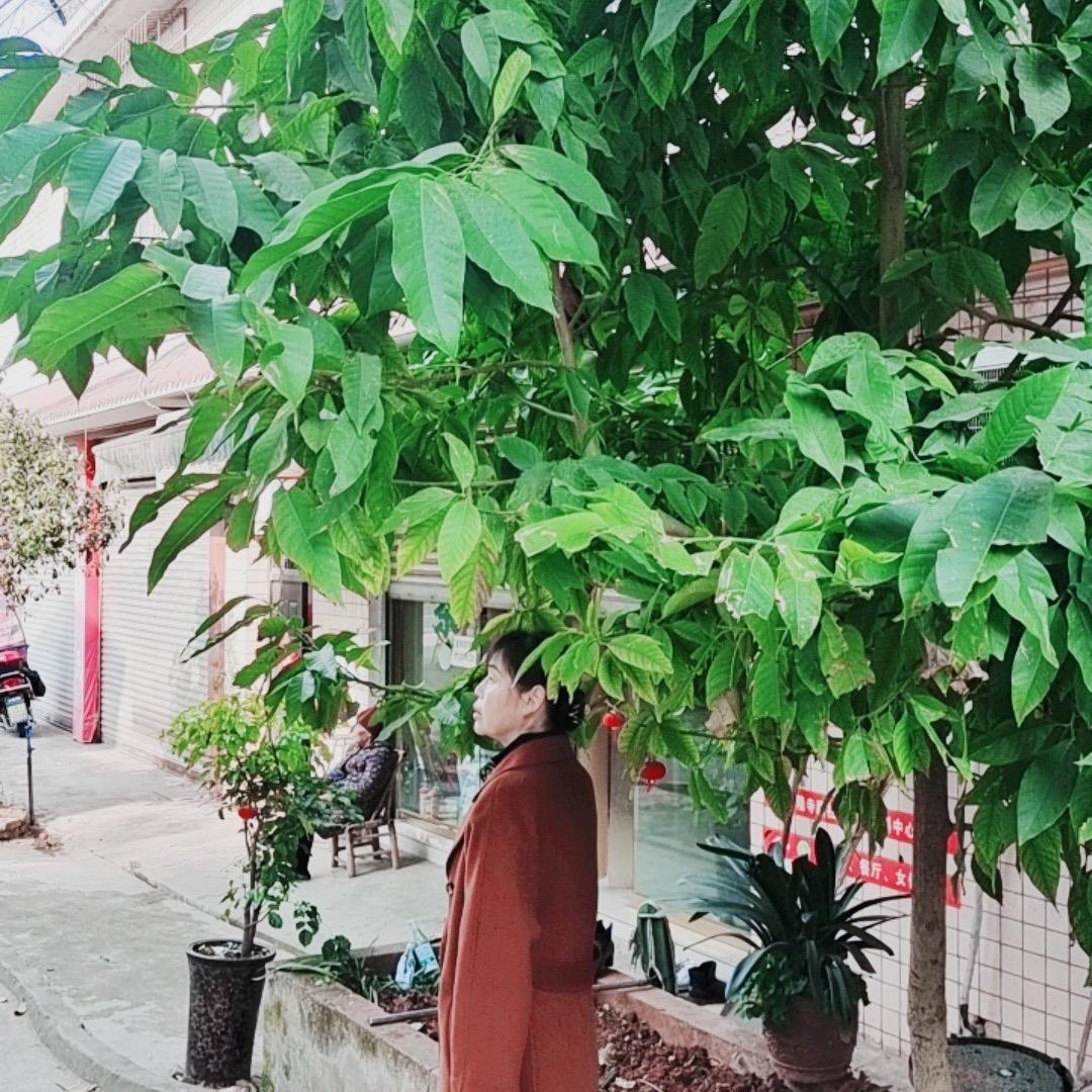 惬意人生