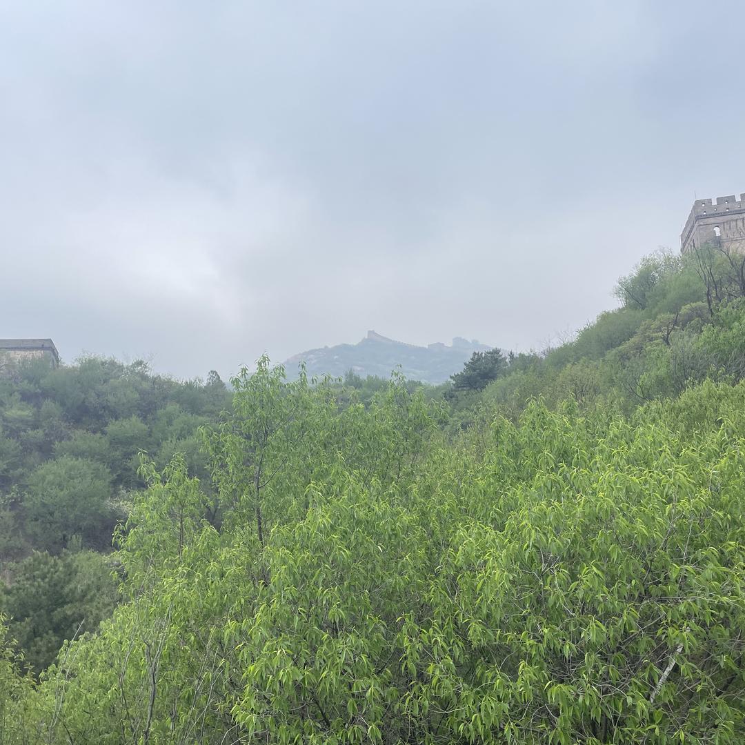 佳佳春山里