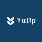 Tulip优选