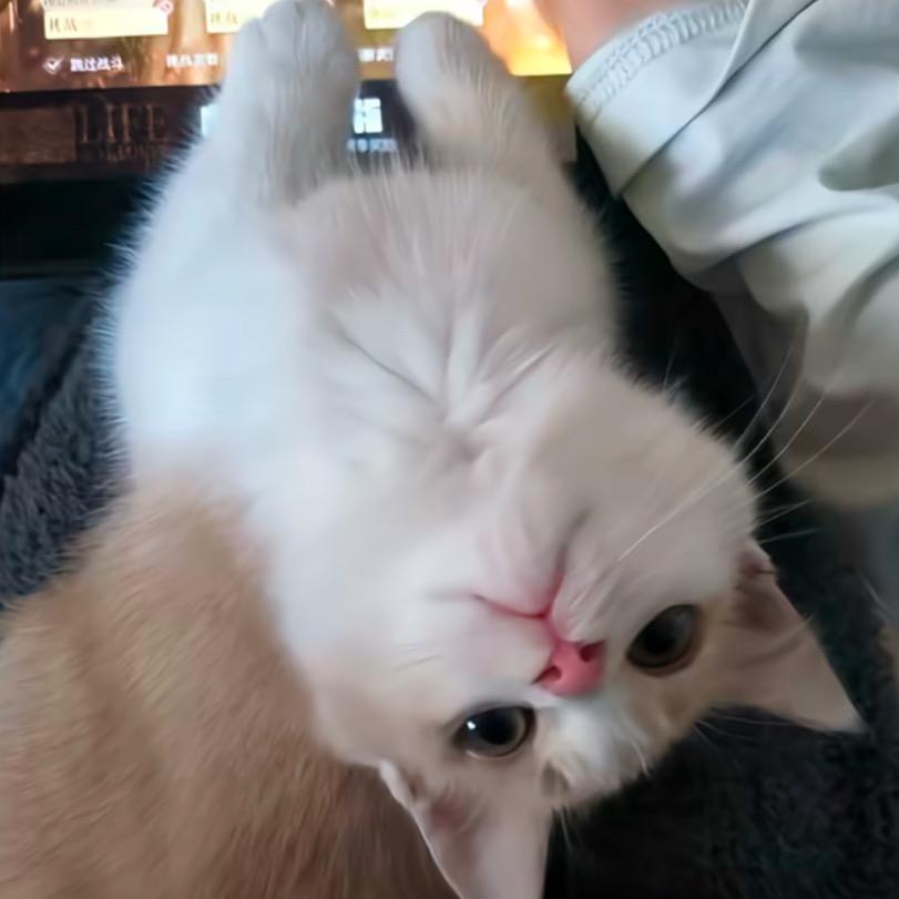 🦟小宝贝