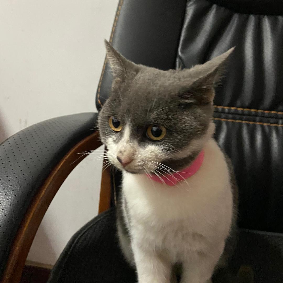 🌈🙈68强🌈🌈