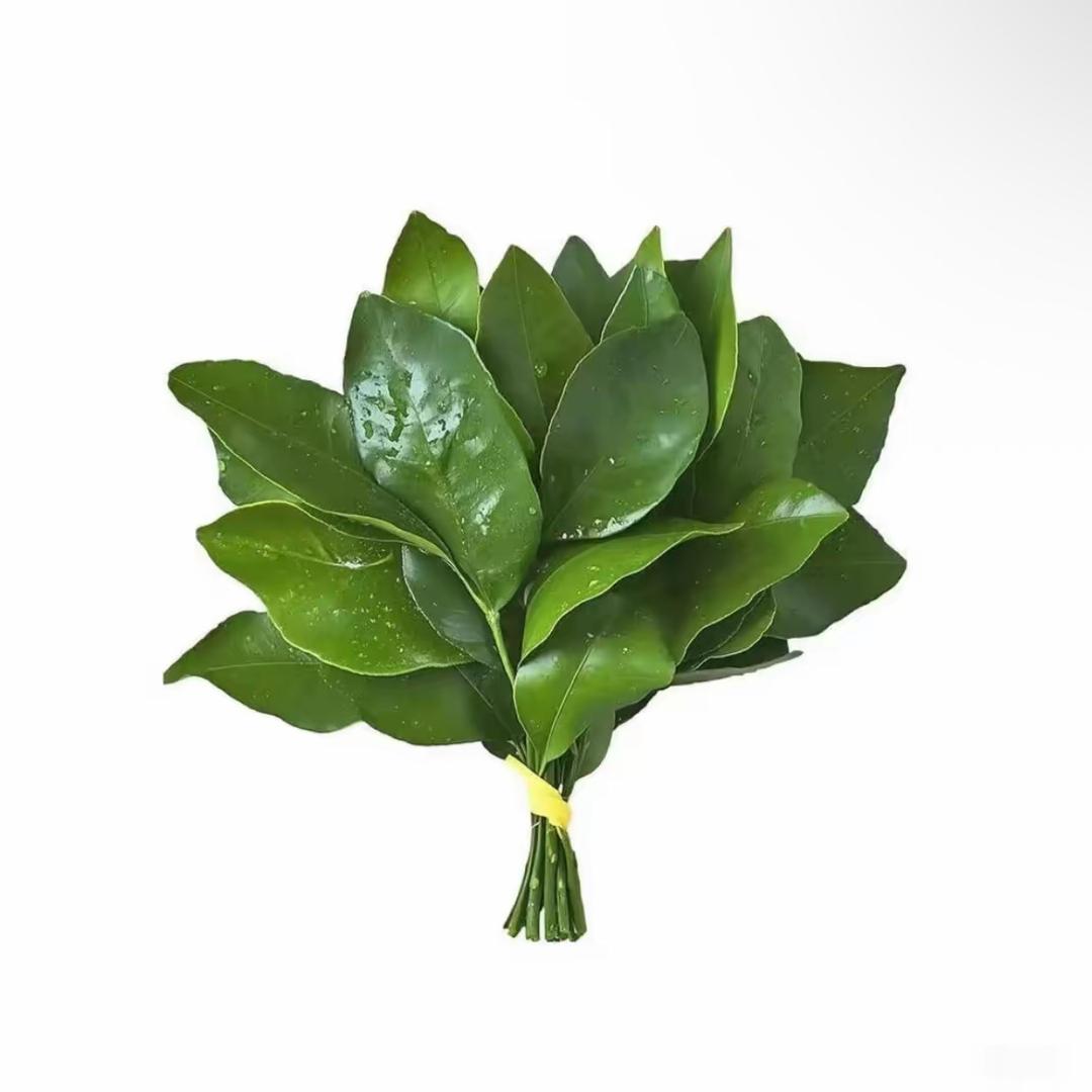 嫂子开门我是我哥