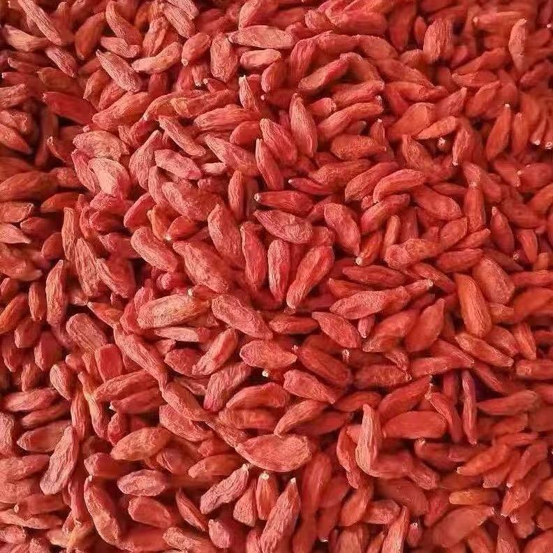 枸杞之乡看中宁