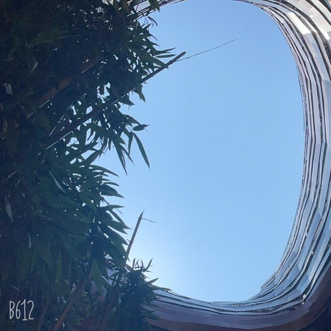 萤火虫#