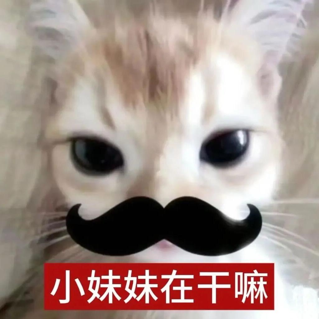 24k纯diao丝（修身养性版）