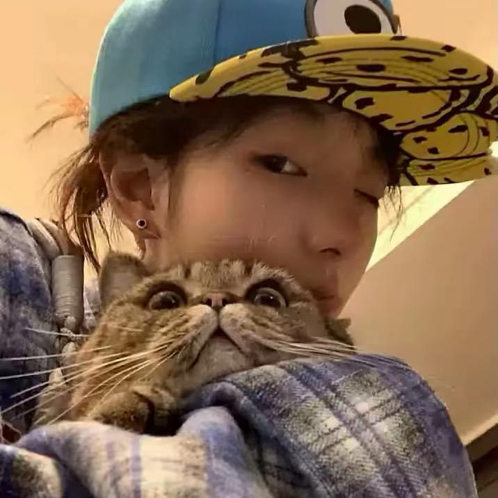 娇🔗