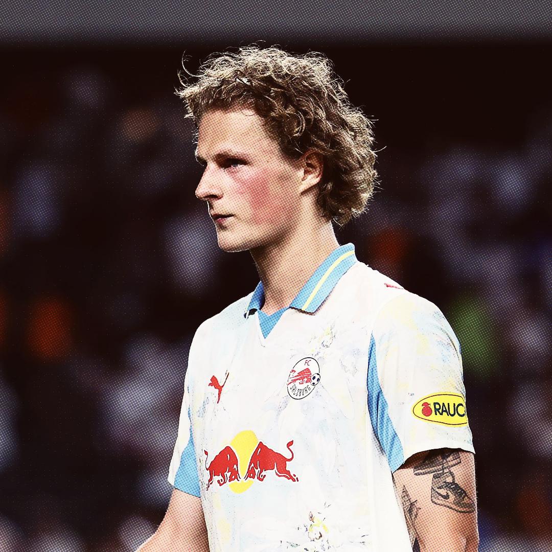 猪百奇（坚果卡贼版