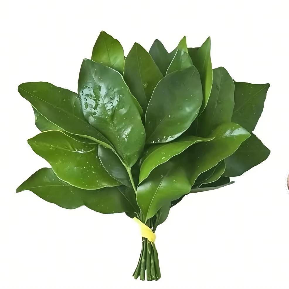 kuku
