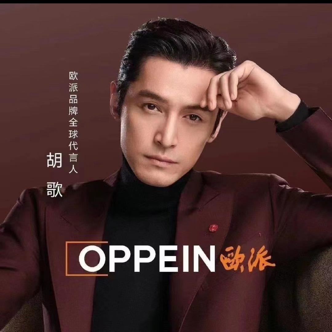 武平县欧派整家定制