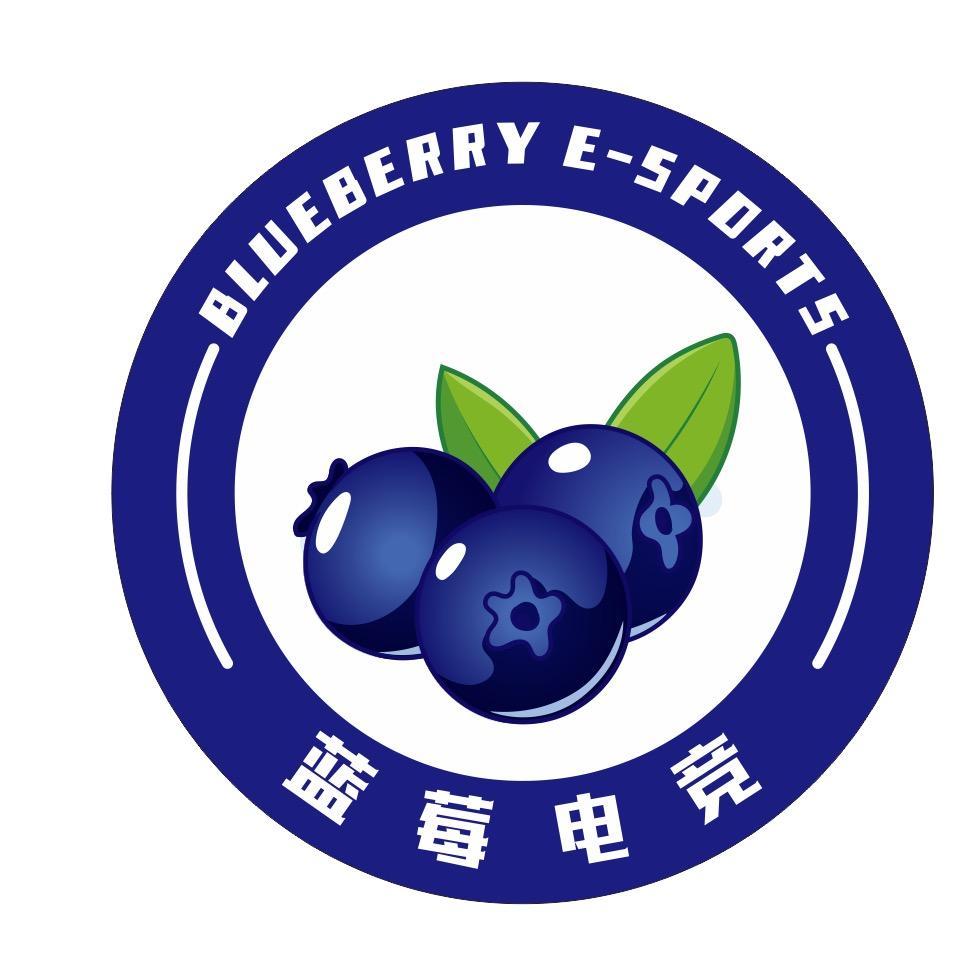 蓝莓电竞(硚口千禧城店)官方号