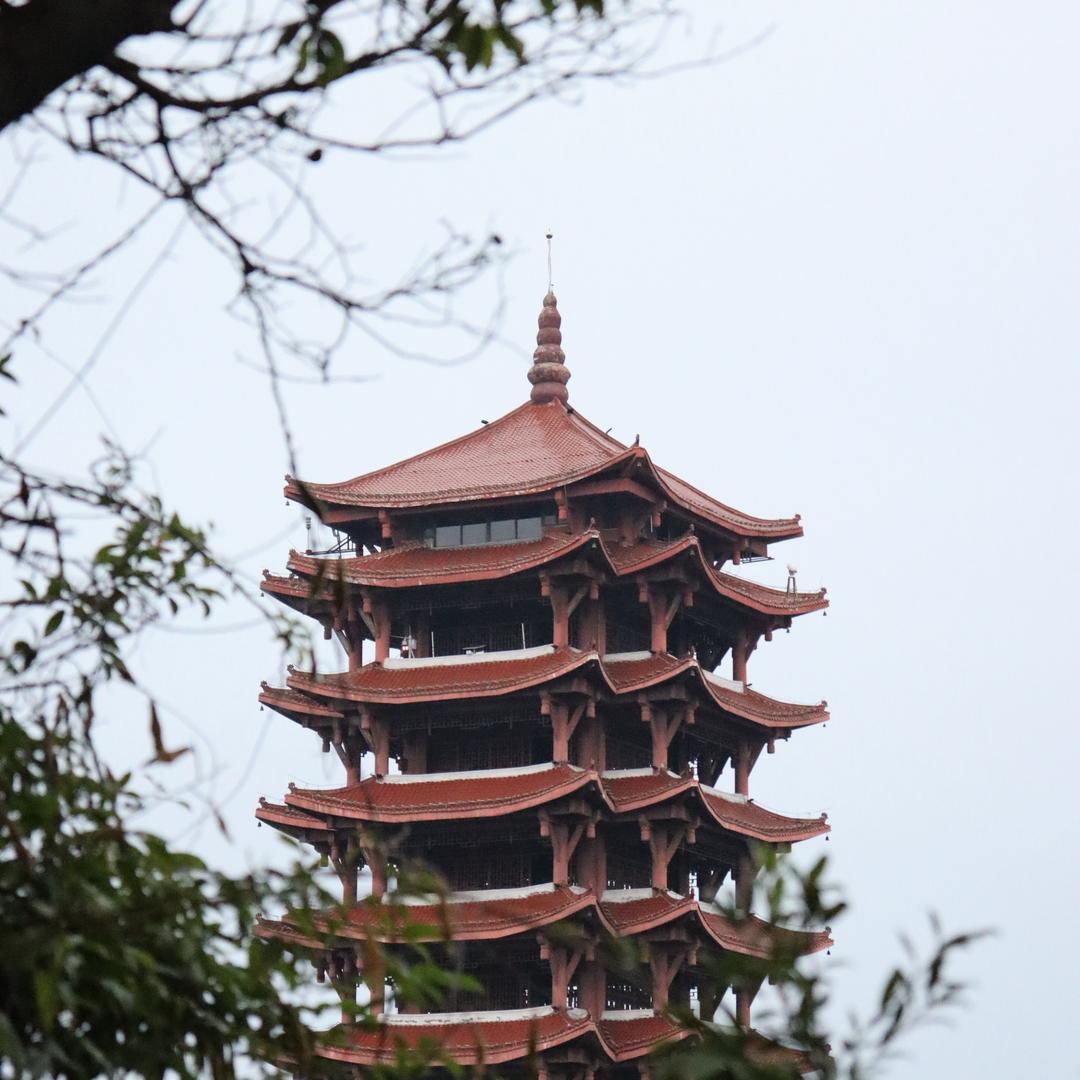 混子