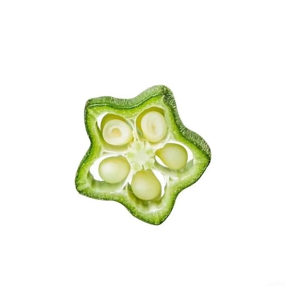 杀死最后一棵树