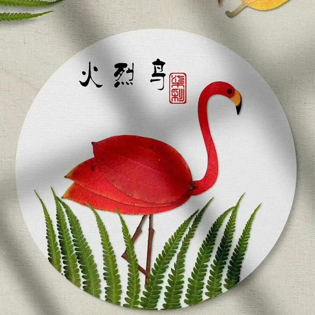 有点困🦩