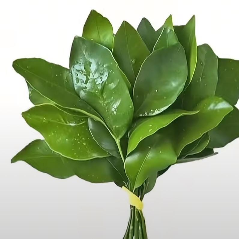 关注欣怡，这号不登录