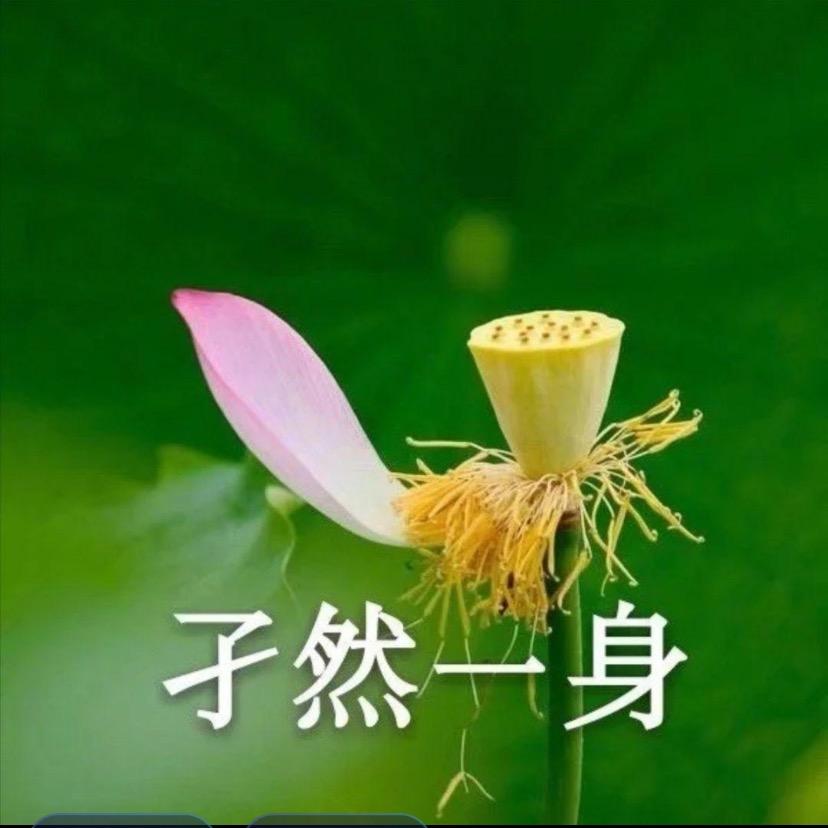 猛酷美味健康食谱分享