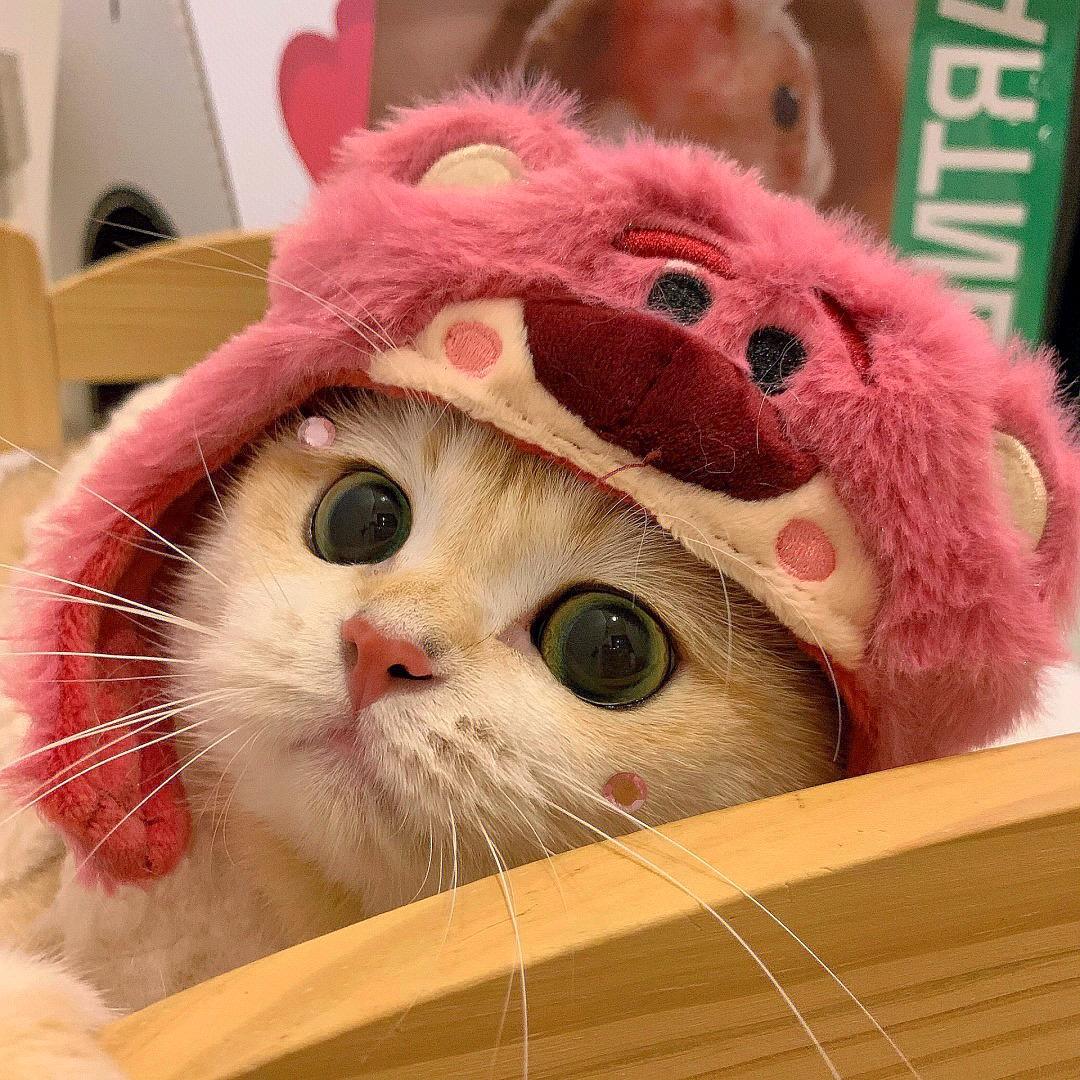 心动奶昔