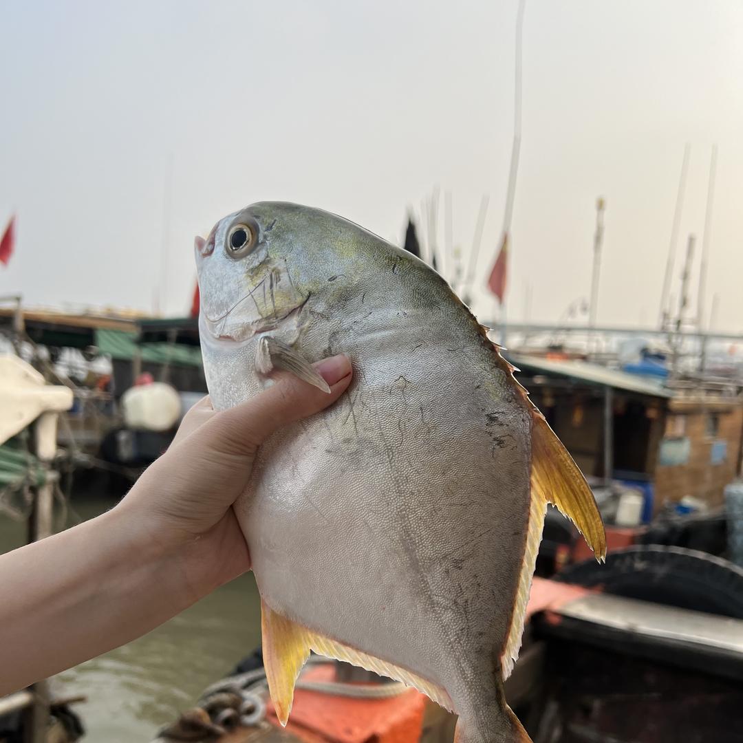 冰冰海鲜