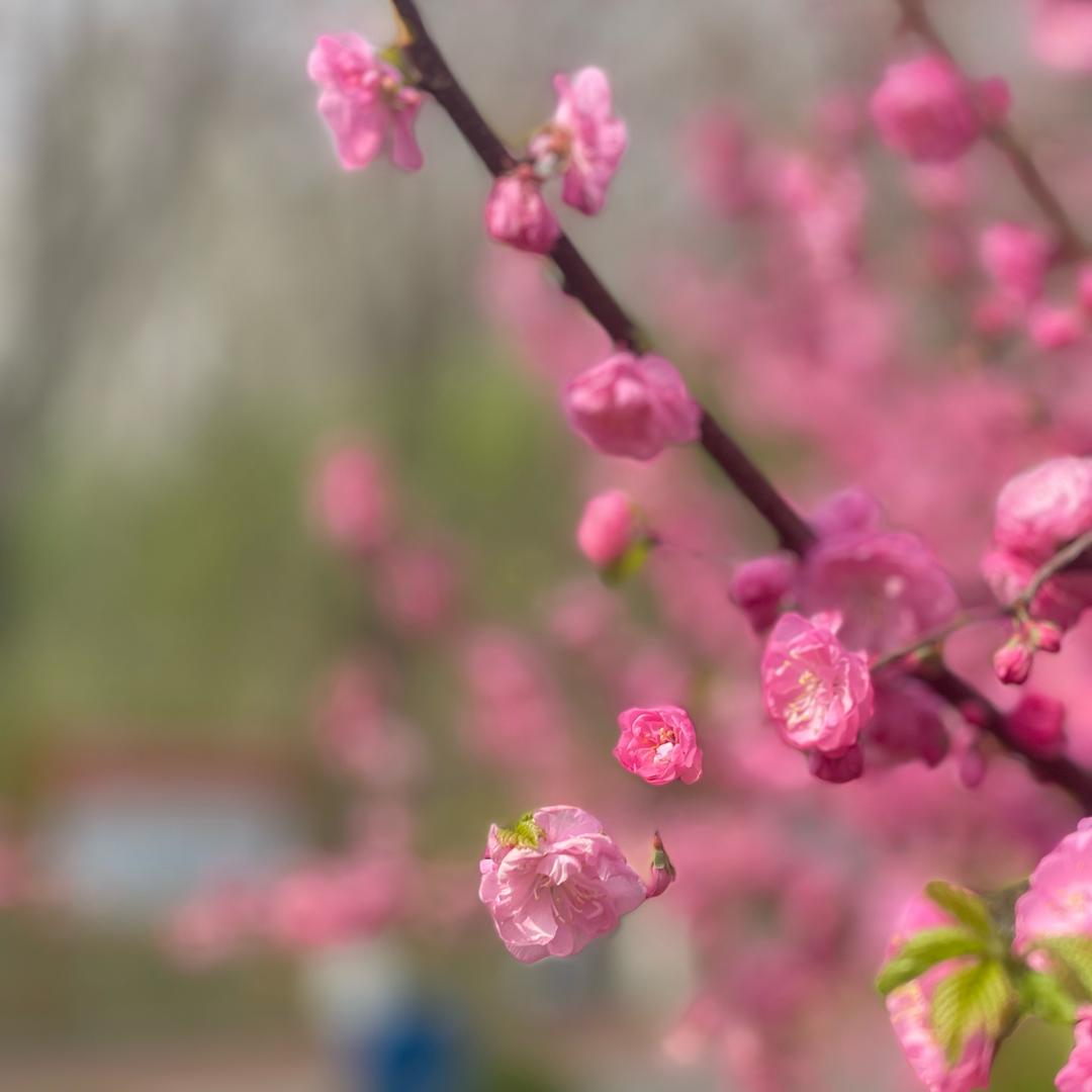 @www.👩🏻‍❤️‍👨🏻