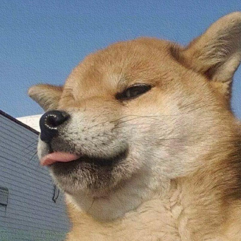 .佩 不奇